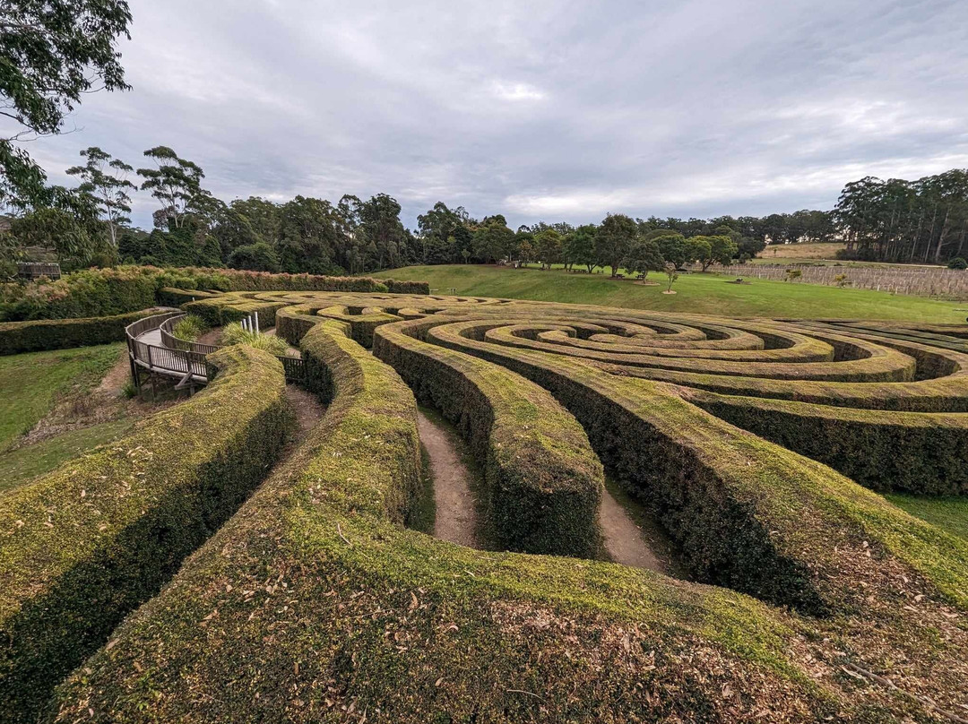 Bago Maze & Wine-Wauchope必去景点