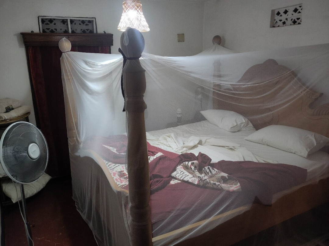 Alison & Dave's Guesthouse主图