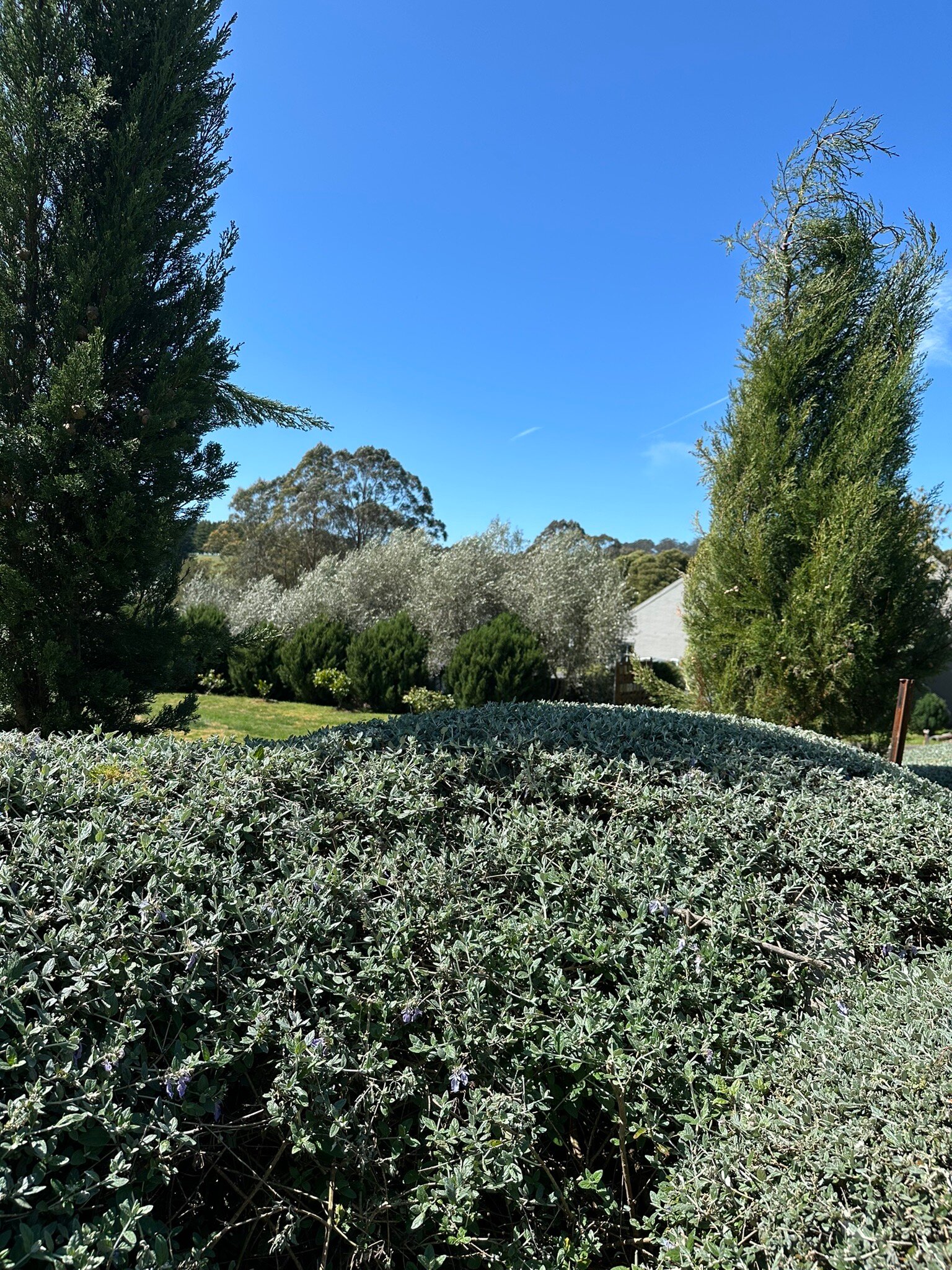 Burrawang Village Hotel-官方