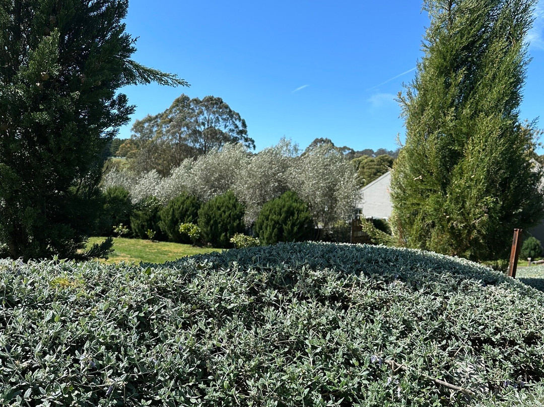 Burrawang Village Hotel主图