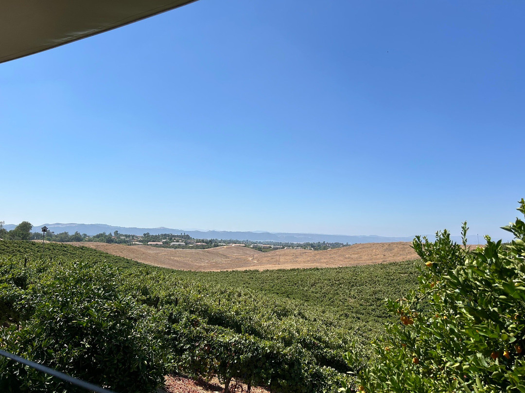 Callaway Vineyard and Winery-特曼库拉必去景点