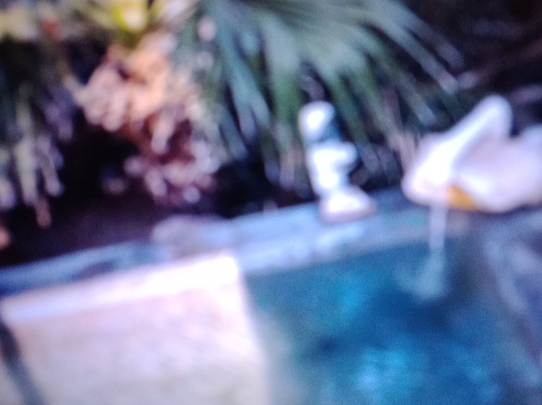 El Dorado Hot Springs-Tonopah必去景点