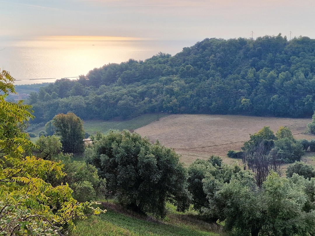 Agriturismo La Quarta主图