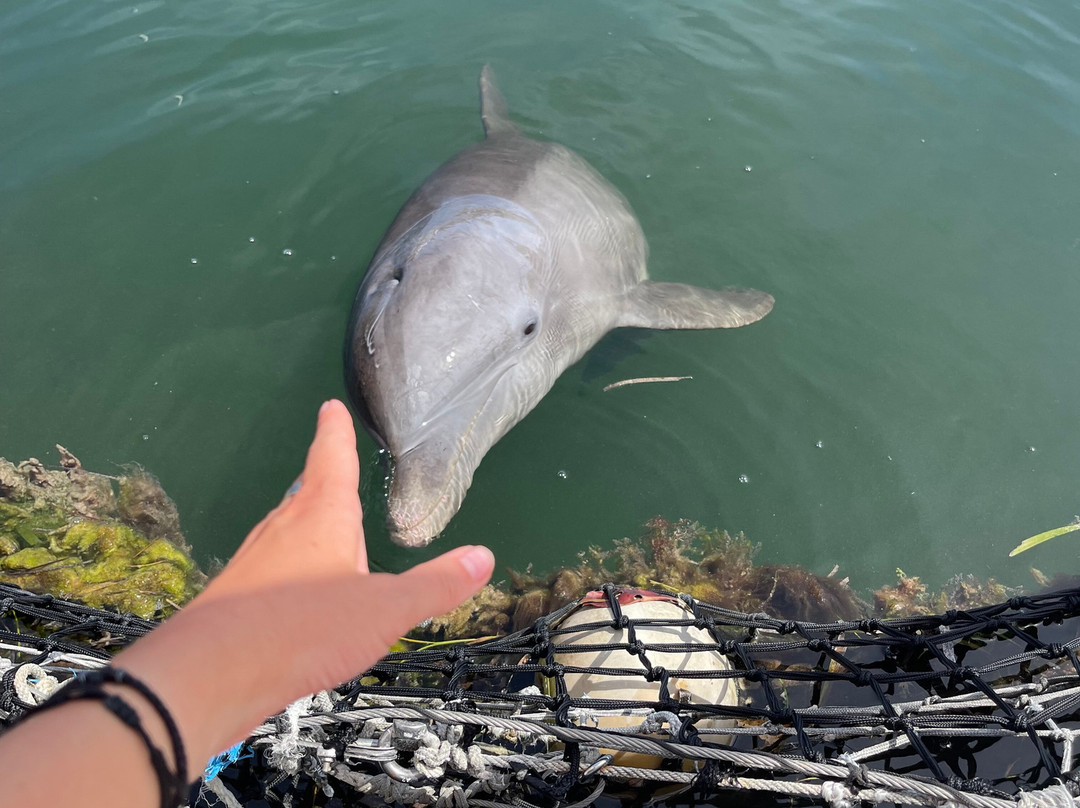 Cubatur-巴拉德罗必去景点