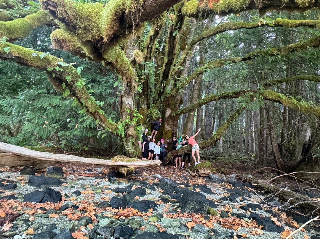 Powell River Sea Kayak-鲍威尔里弗必去景点
