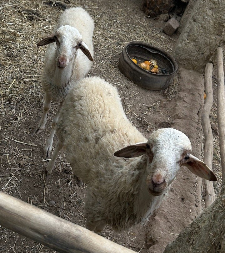 Auberge Kasbah Tiriguioute主图