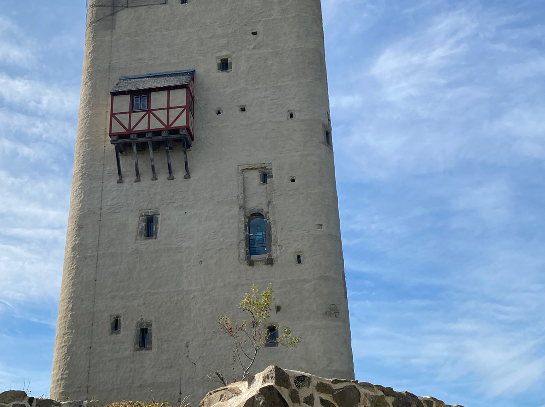 Castle Olbrück景点图片