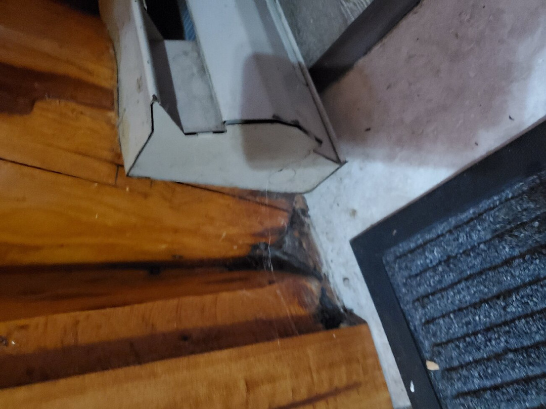 Wawa Motor Inn主图