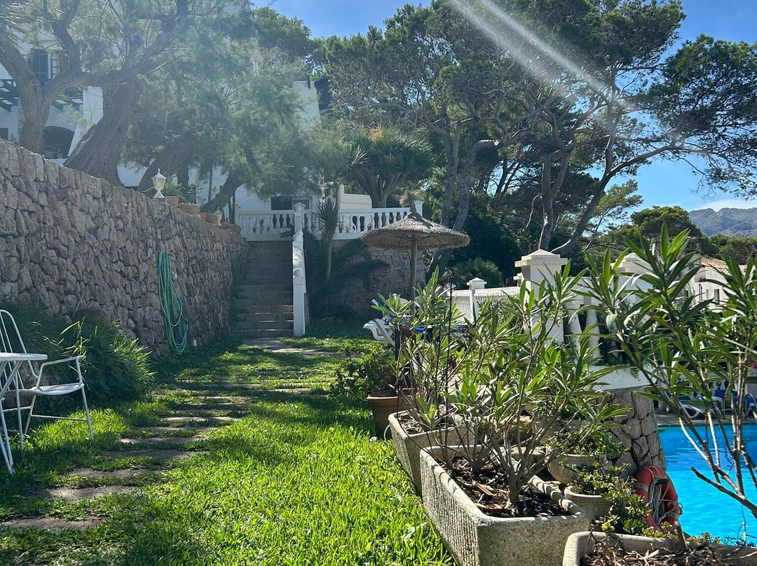 Hostal Los Pinos主图