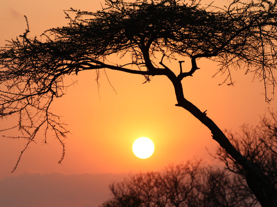 Ross Willows, Bespoke Travel