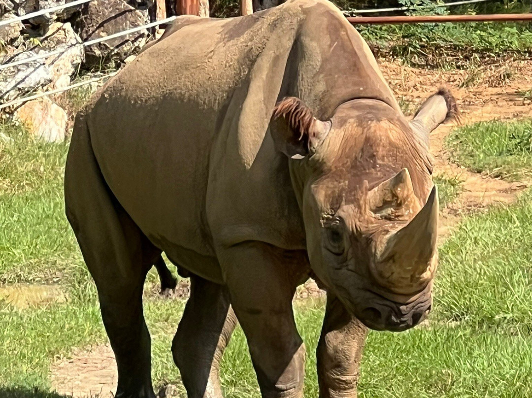 Chehaw Park & Zoo-奥尔巴尼必去景点