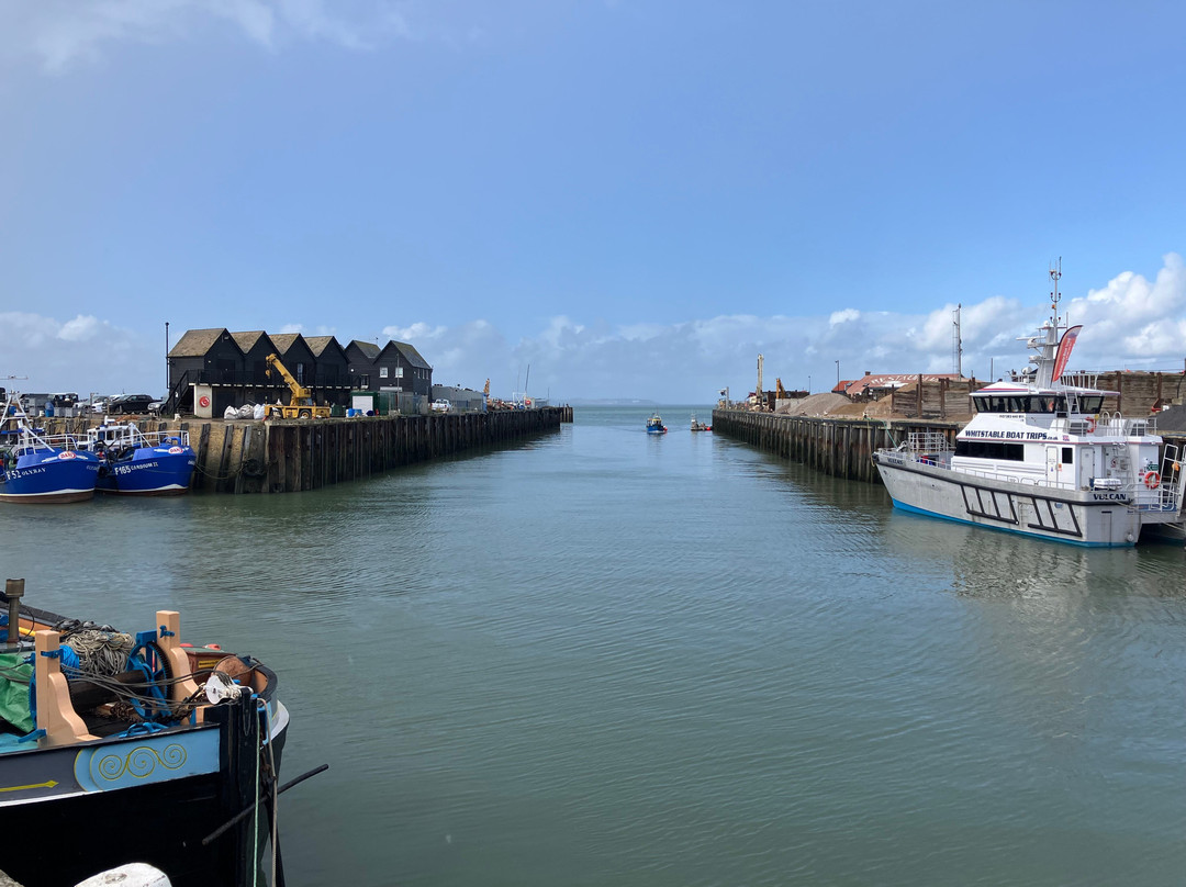 Whitstable Harbour景点图片