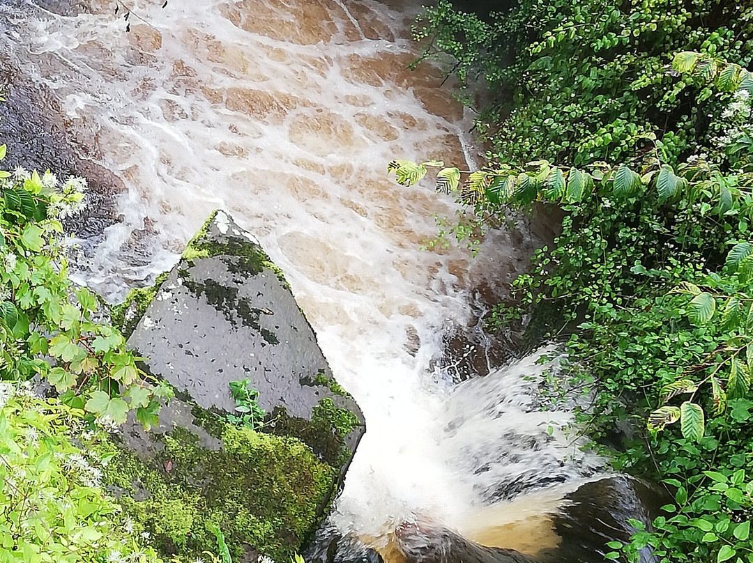 Clydach Gorge景点图片