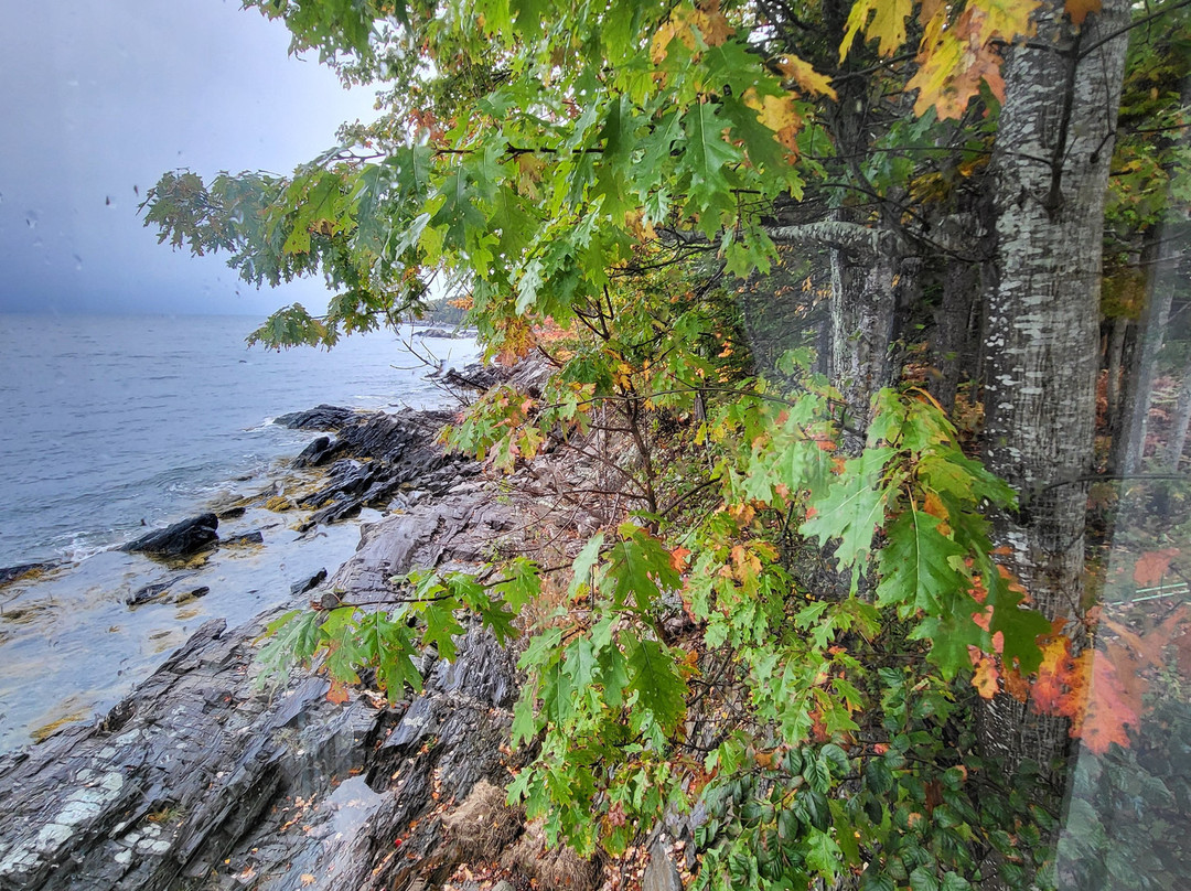 Drift Oceanside Inn主图