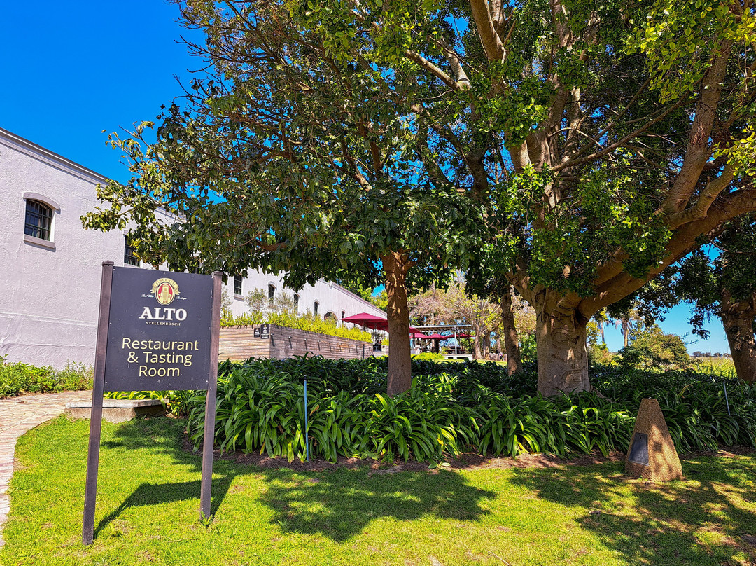Alto Wine Estate-斯泰伦博斯必去景点