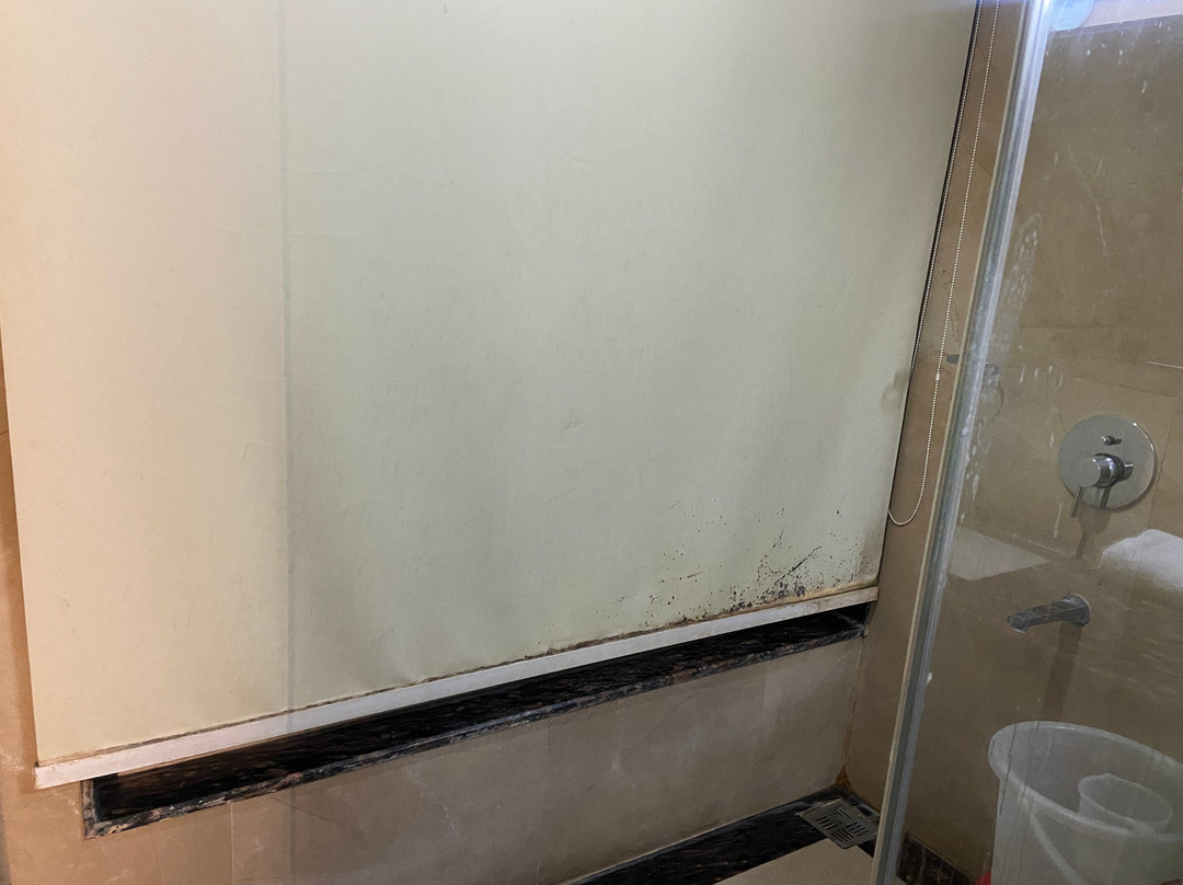 Hotel New York Plaza主图