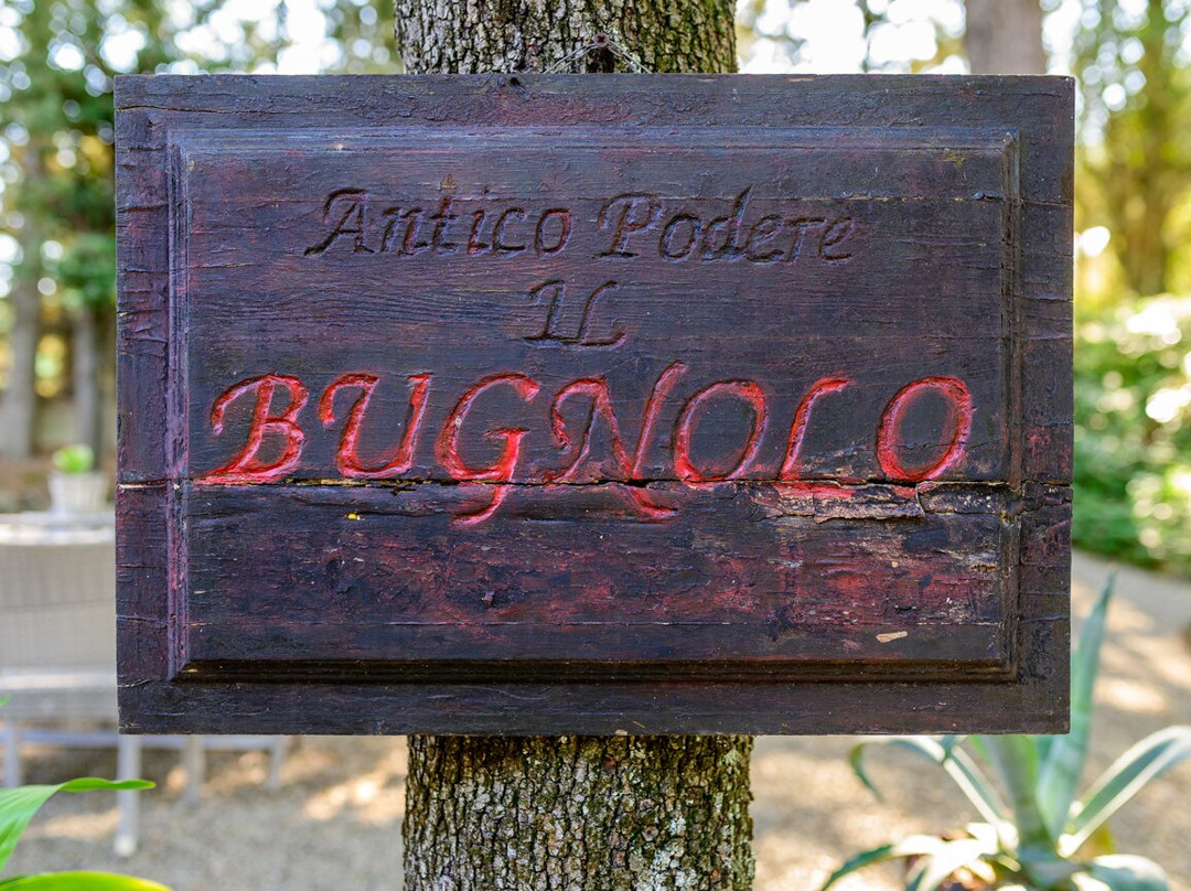 Antico Podere Il Bugnolo主图