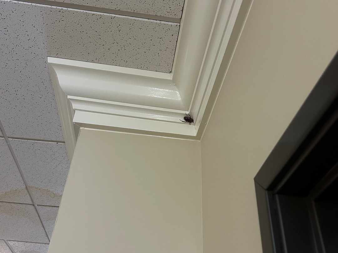 Comfort Suites La Porte - Baytown主图