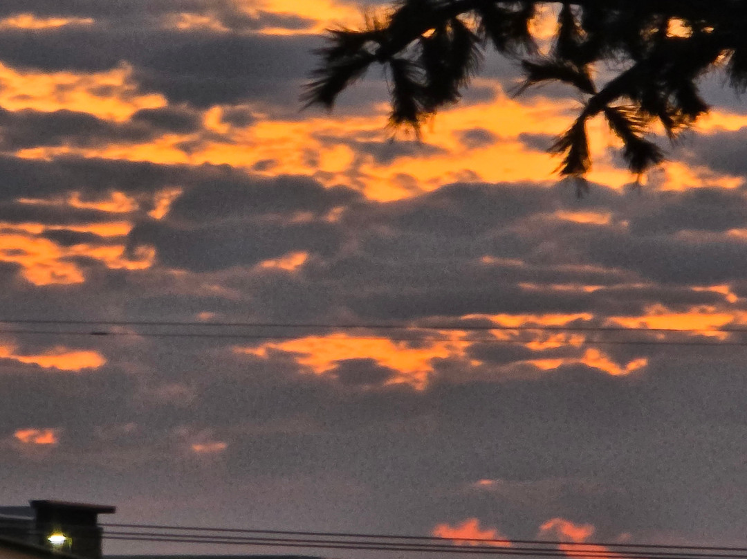 Hawthorn Suites by Wyndham Loveland主图