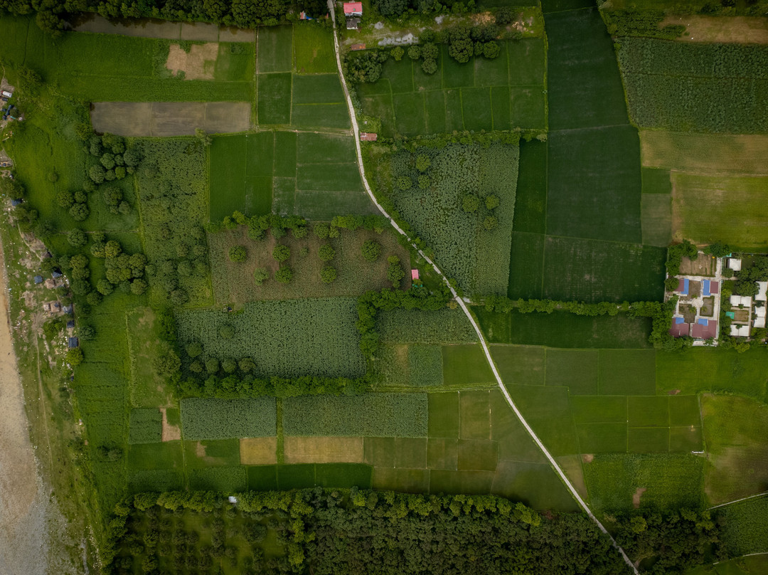 Sukoon - A Wellness Resort主图