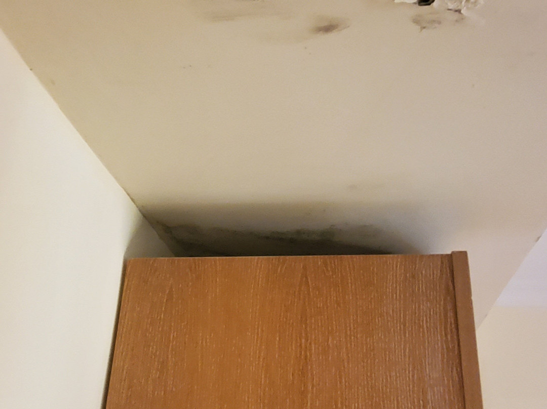 罗马纳别墅酒店主图