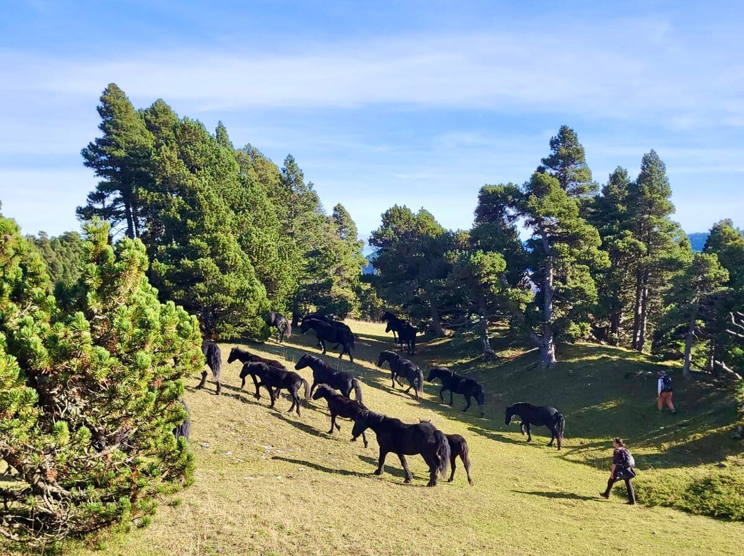 Vallon De Combeau景点图片