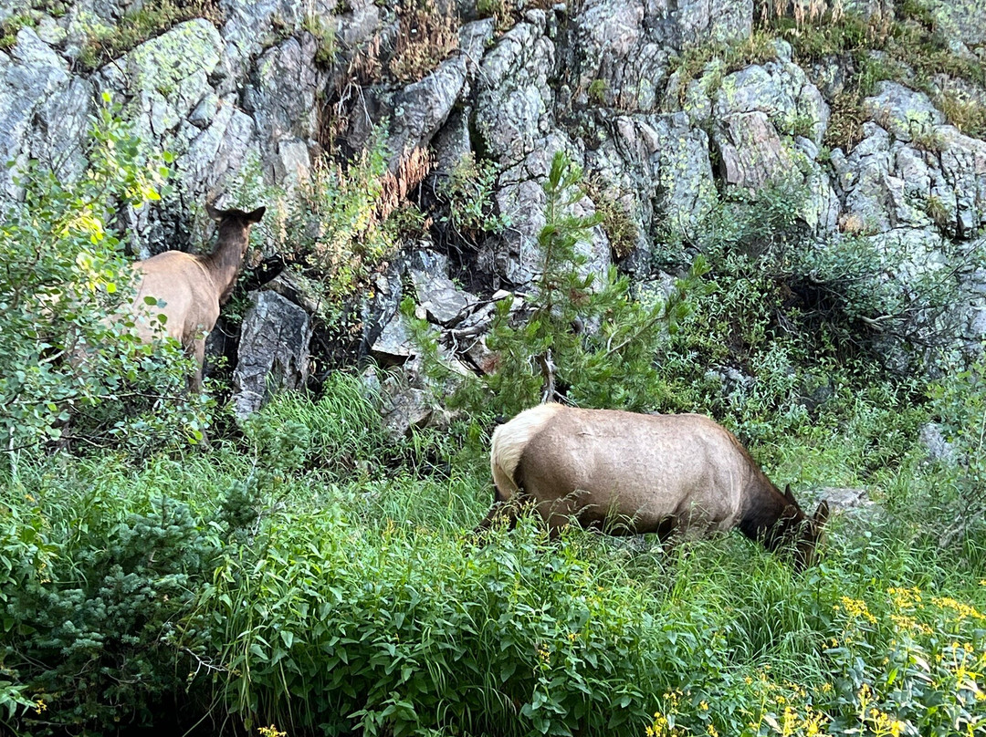 Rocky Mountain National Park-埃斯蒂斯公园必去景点