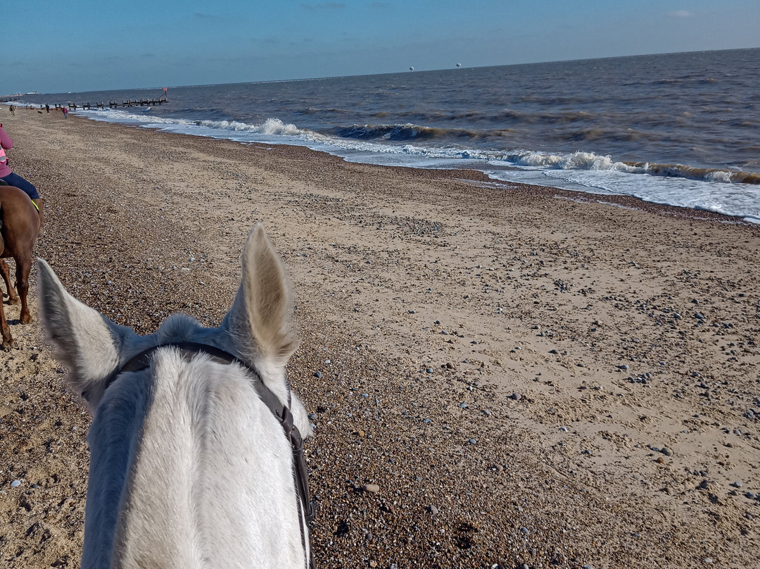 Pakefield Riding School-洛斯托夫特瓷必去景点