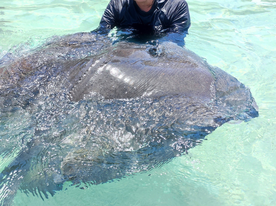 Cayo Acuario-圣安德烈斯岛必去景点