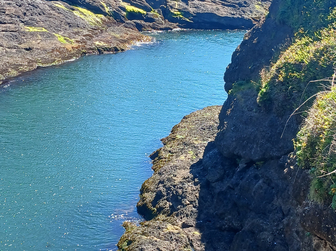 World's Smallest Harbour-Depoe Bay必去景点