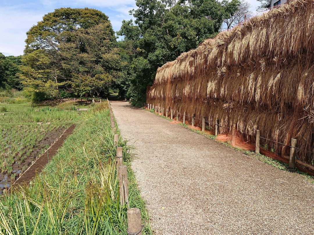 Jindai Aquatic Botanical Garden-调布市必去景点