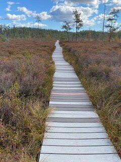 Saco Heath Preserve-萨考必去景点