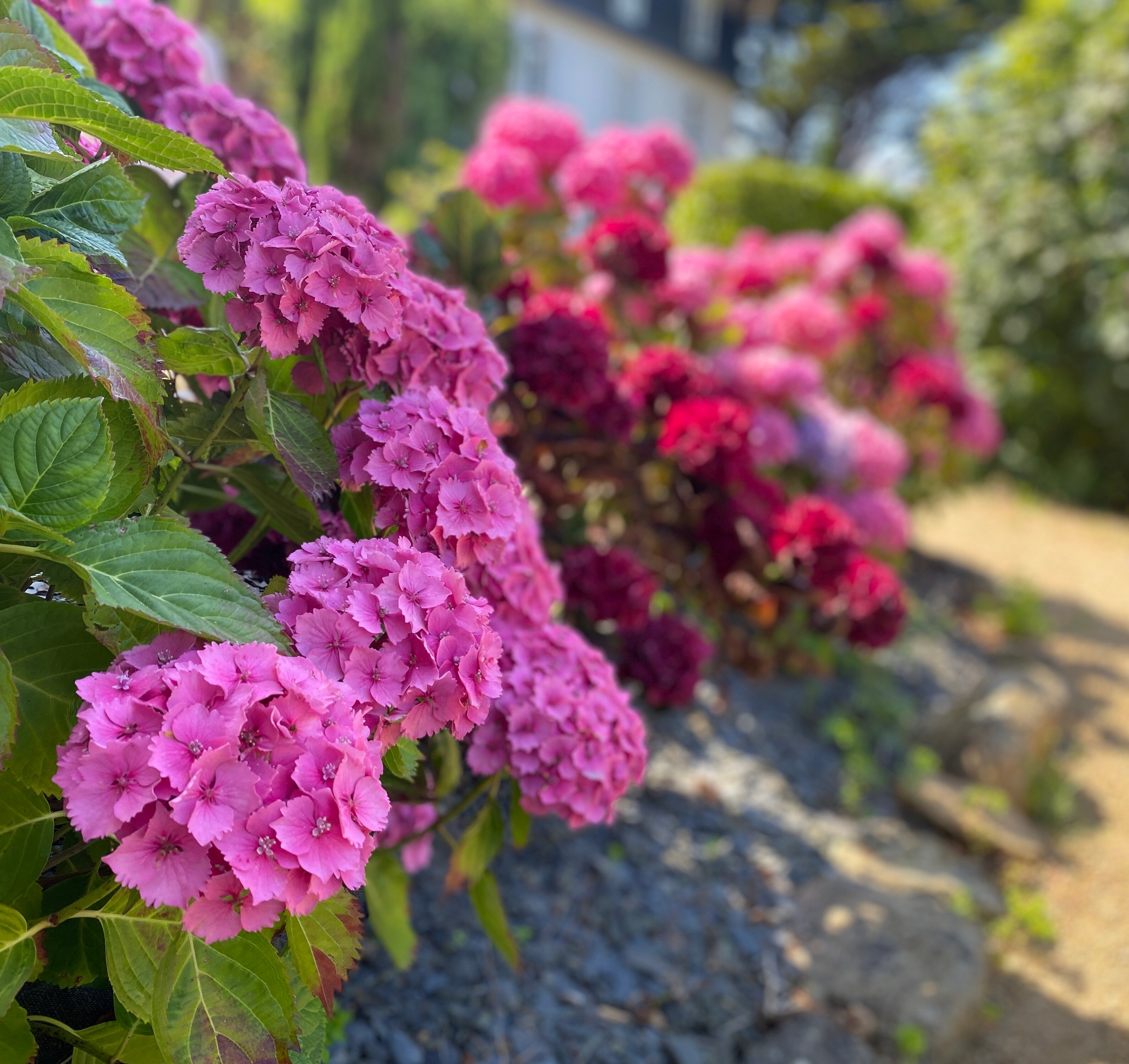 贝尔维尤公园酒店-浴室