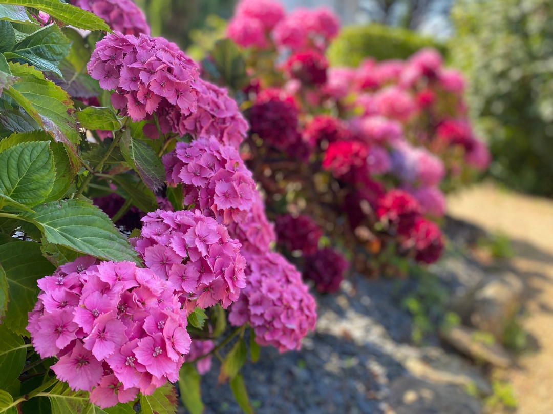 贝尔维尤公园酒店主图