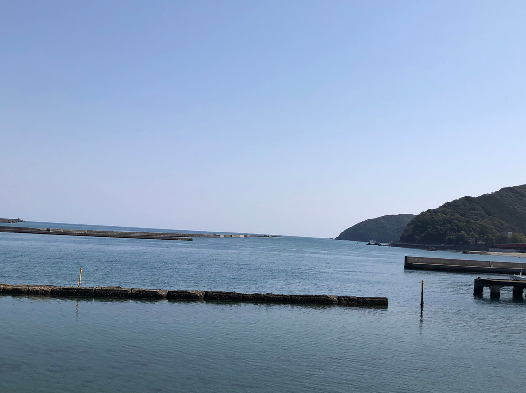 Usao Bridge-土佐市必去景点