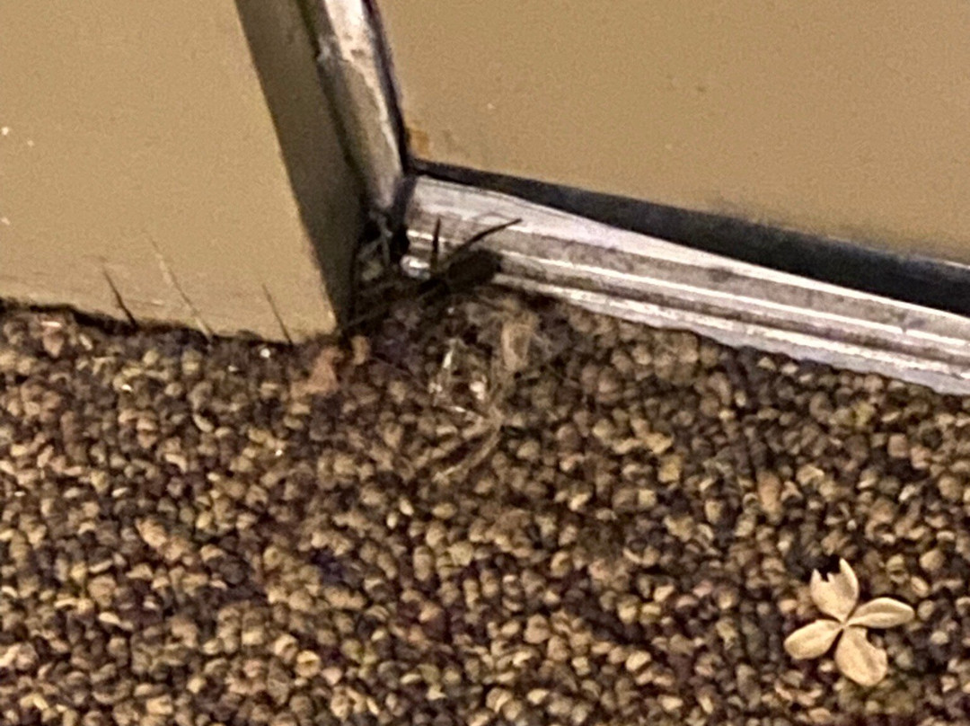 Berlin Heritage Inn主图