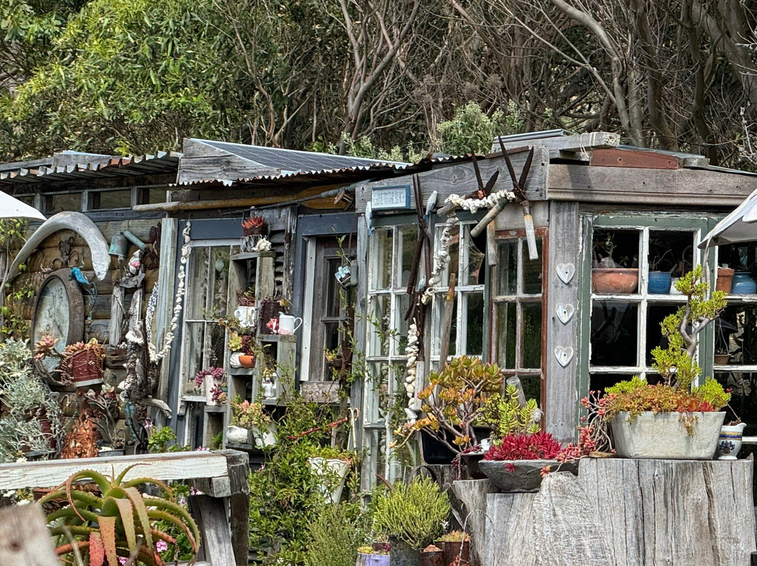 Alfies Adventures-Cape Point必去景点