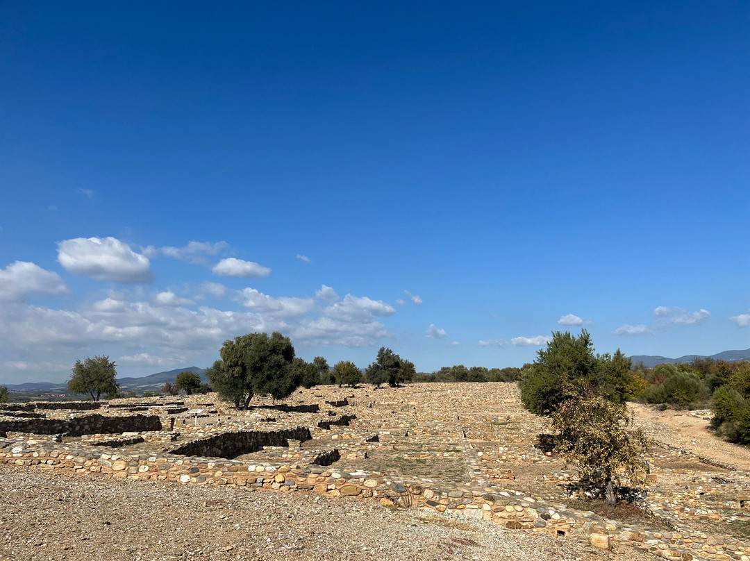 Ancient Olynthos景点图片