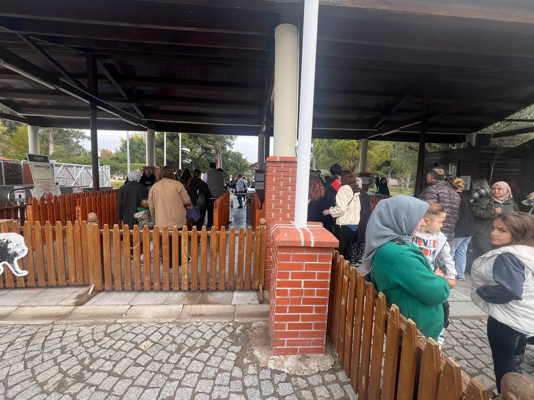 Izmir Wild Life Park景点图片