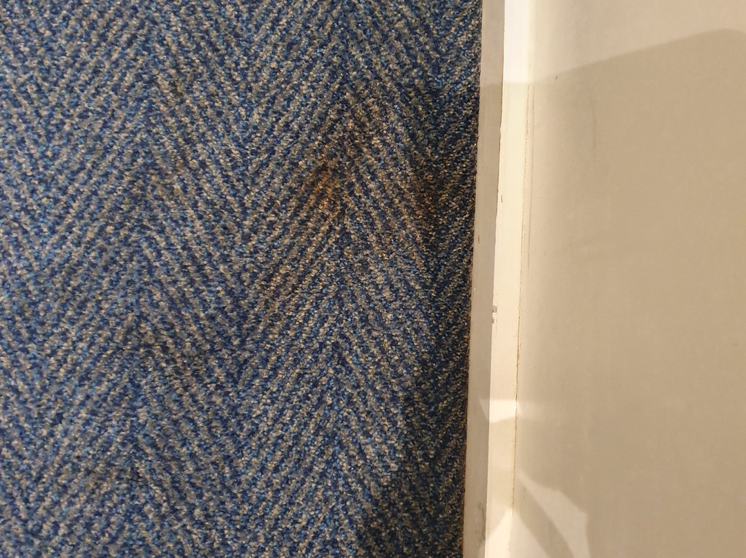 Travelodge London Beldevere主图