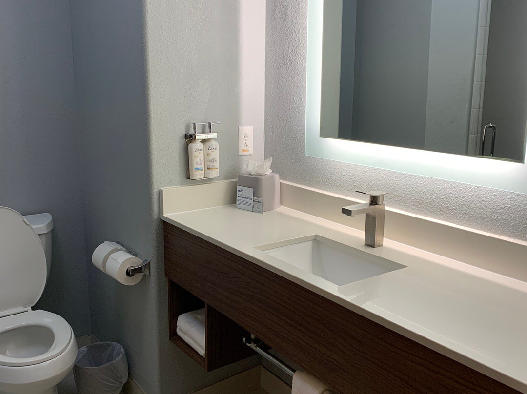 Holiday Inn Express & Suites Austin Ne - Hutto By IHG主图