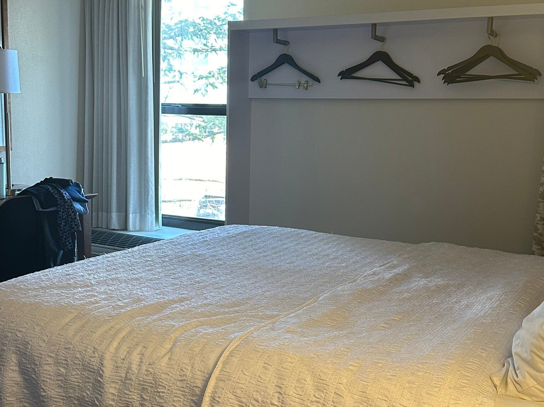 Hampton Inn Albany-wolf Road (airport)主图