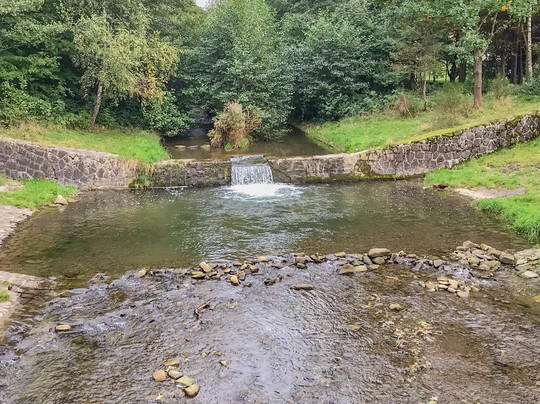 Trasa Edukacji Ekologicznej-Porabka必去景点