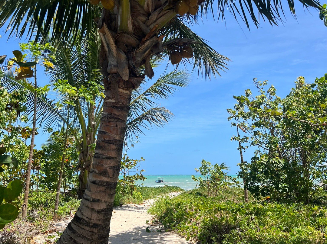 Jojorotatur Receptivo-Sao Miguel dos Milagres必去景点