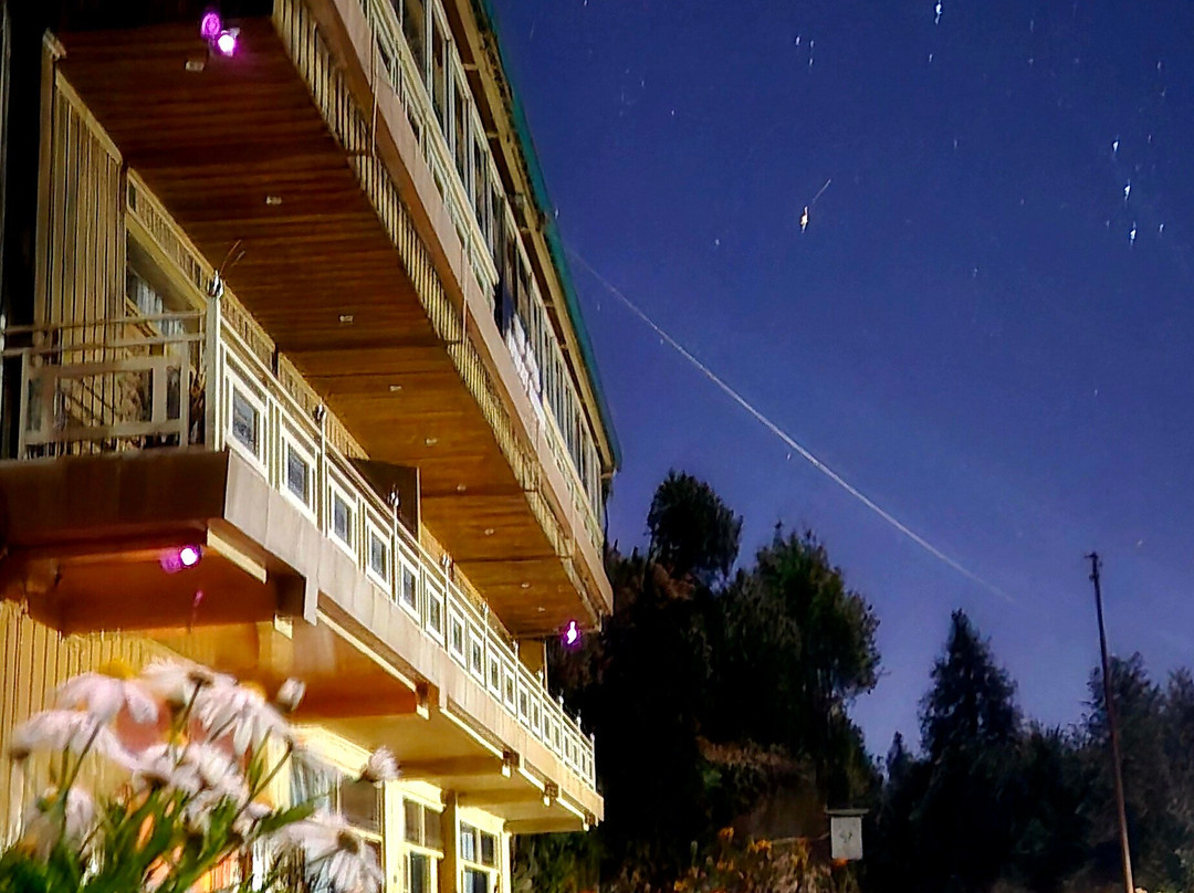 The Royals Apricot Garden