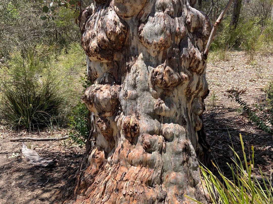 Dunns Swamp-马奇必去景点