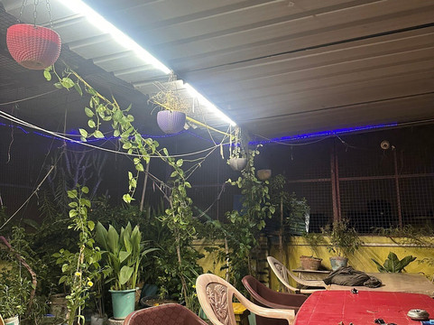 Yoga Education Training Society-瓦拉纳西必去景点