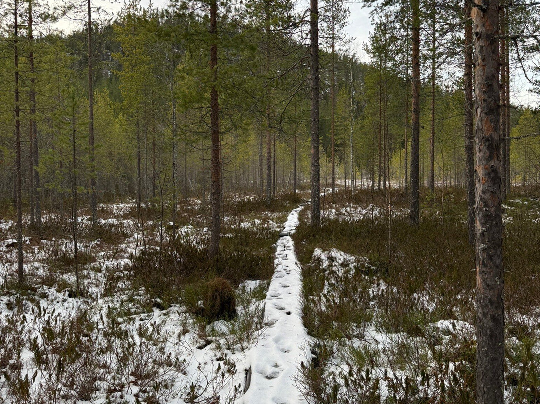 Pieskänjupukka Scenic Trail-Pello必去景点