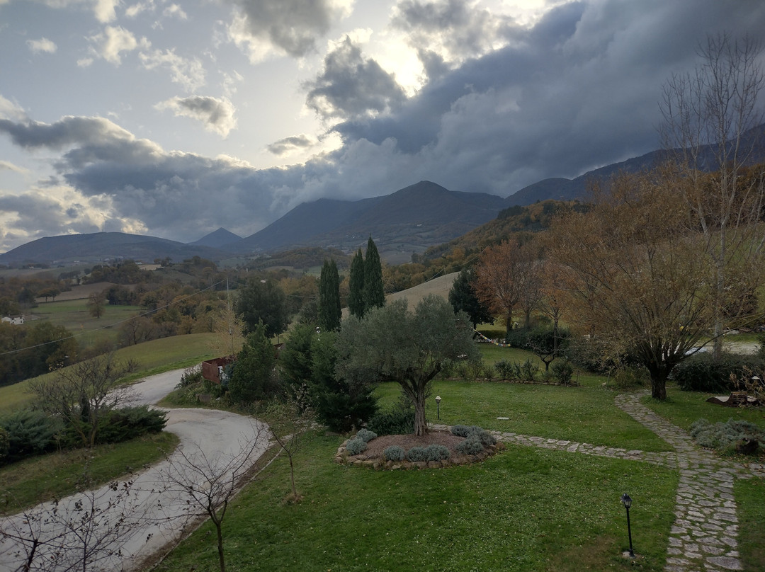 Country House Le Calvie主图