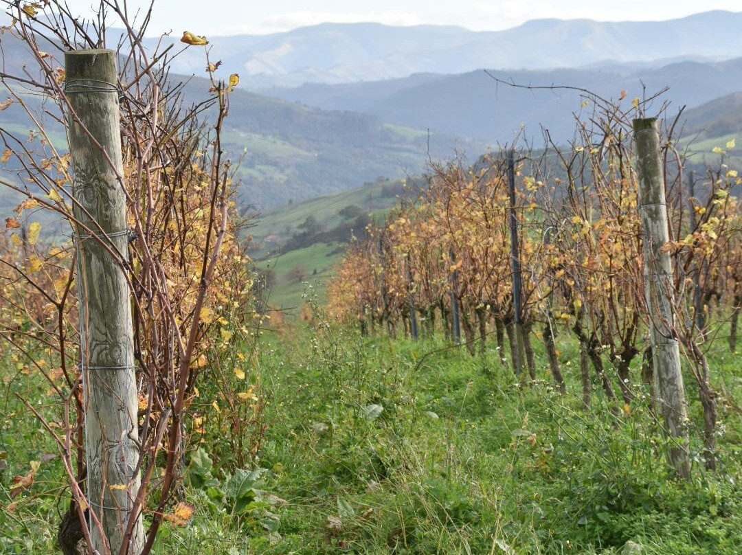 Bodegas Sel d'Aiz-Castillo必去景点